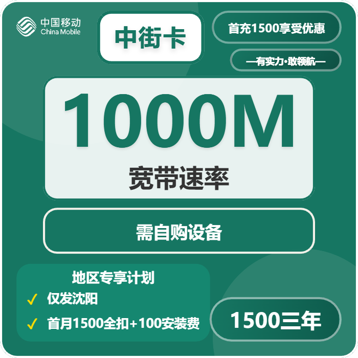 2026年4月中旬沈阳大流量套餐推荐：辽宁沈阳最适合的大流量电话卡