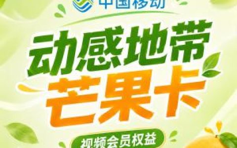 2026年9月广西河池南丹县适合日常上网的性价比套餐推荐，这几类可以先看