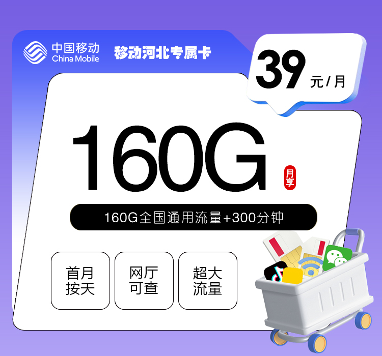 河北邯郸永年区不想受定向流量限制,2026年10月这些套餐可以参考
